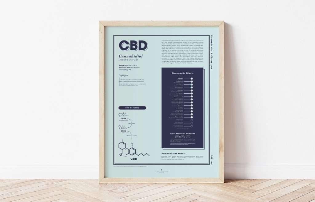 what is CBD cannabidiol medical marijuana infographic by GoldLeaf